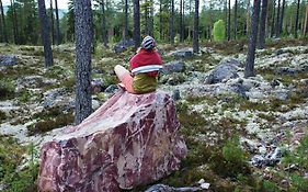 15 - Fulufjellets Nasjonalparker - Natur-, Dyre- Og Fugleopplevelser